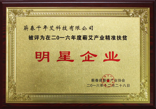 2016精準扶貧明星企業