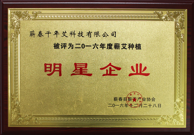 2016蘄艾種植明星企業