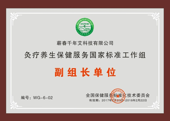 灸療保健服務國家標準工作組副組長