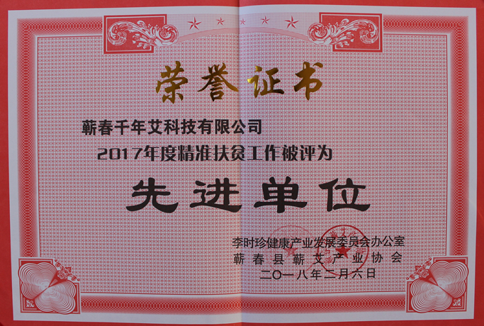 2017精準扶貧先進單位