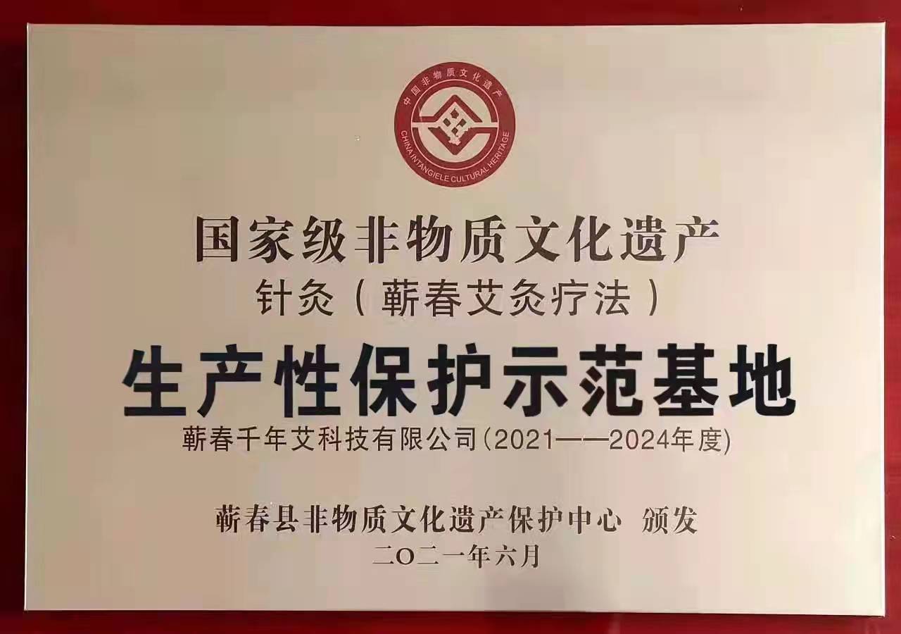 國家級非遺針灸（蘄春艾灸療法）生產性保護示范基地