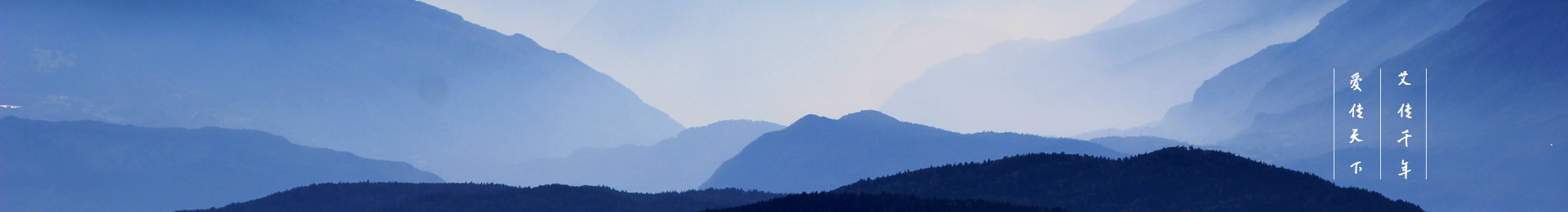 經(jīng)絡(luò)穴位